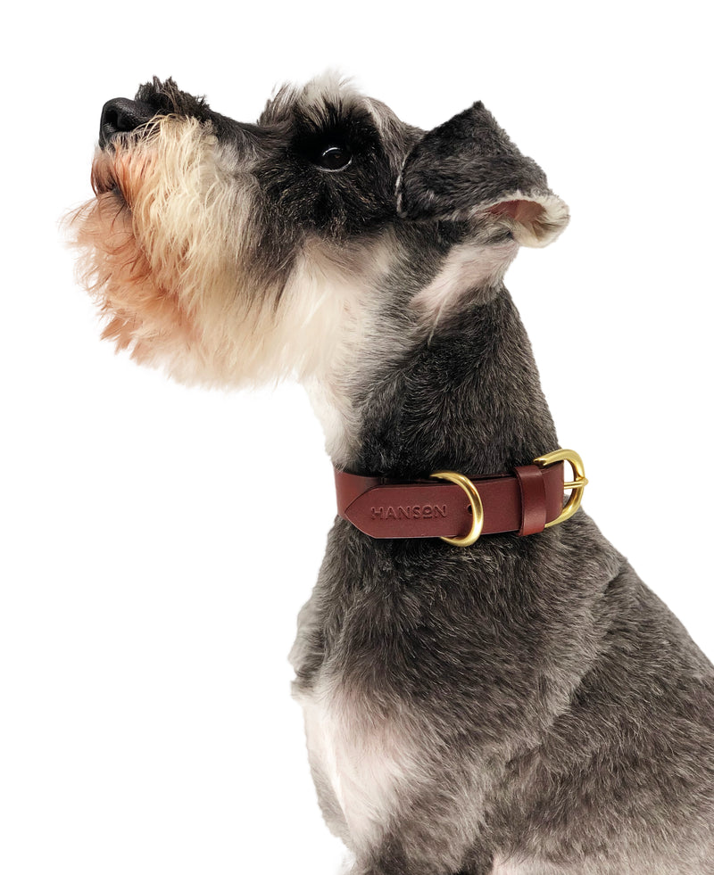 Luxury dog collar gift